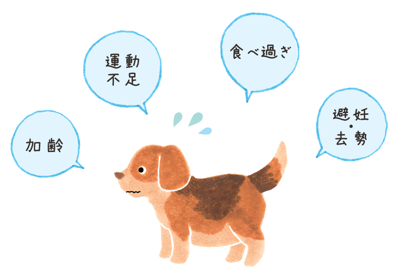 肥満の原因