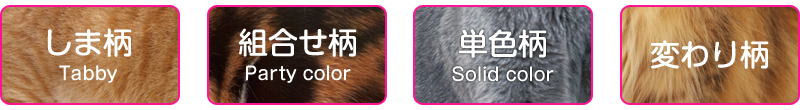 柄一覧
