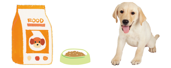 どんな食事がいいのかな 子犬のごはん元気もりもりデビュー ペット用品の通販サイト ペピイ Peppy