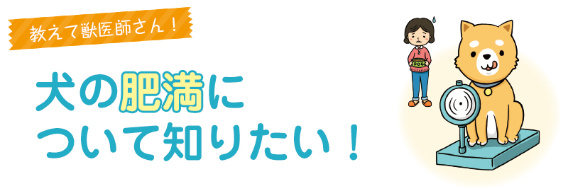 犬の肥満について知りたい!