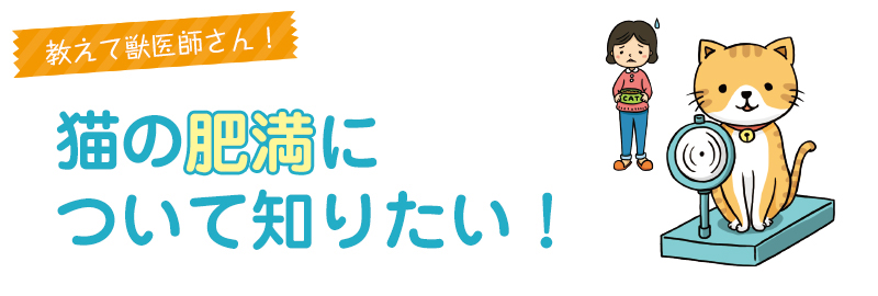 猫の肥満について知りたい!