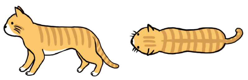 BCS2:やや痩せ