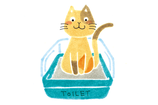 トイレは常に清潔に!