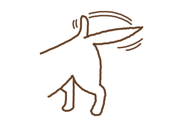 ゆったり大きくしっぽを振る意味