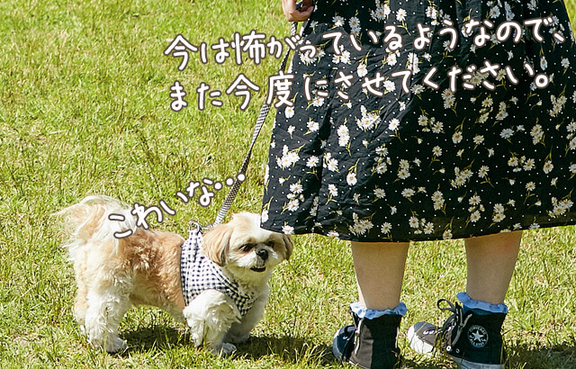 素敵な飼い主さん