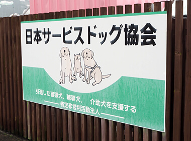 サービスドッグ協会JSDA
