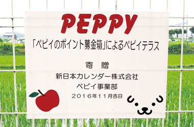 ペピイテラス