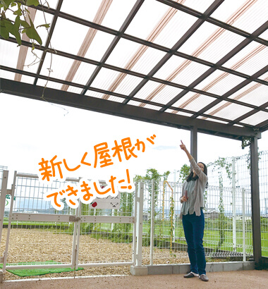 新しく屋根ができました