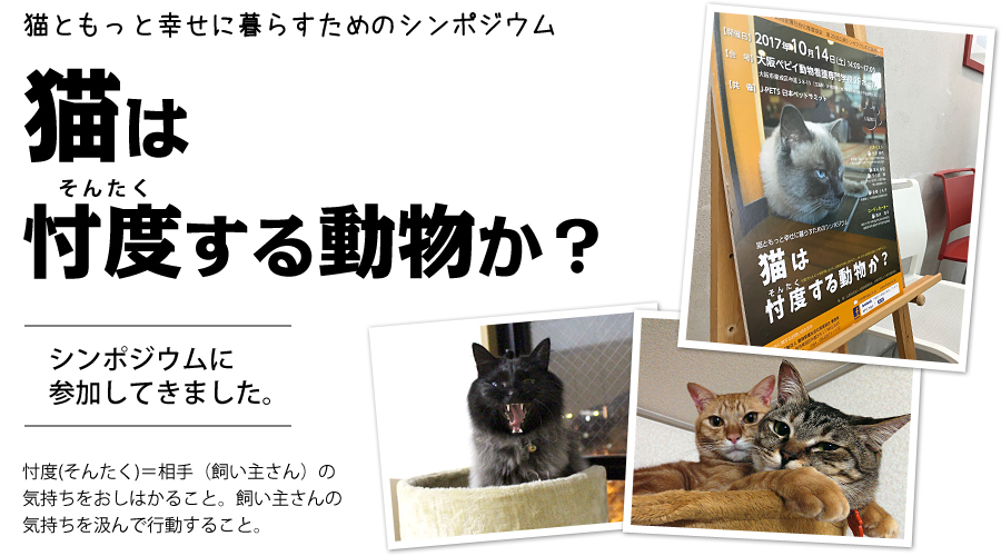 猫は忖度(そんたく)する動物か?