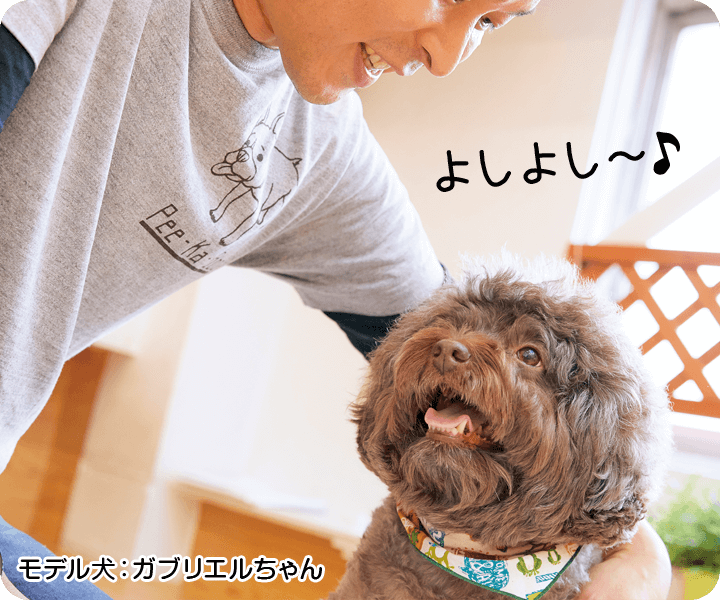 愛犬が寝落ちしちゃう うっとり触り方講座 ペット用品の通販サイト ペピイ Peppy