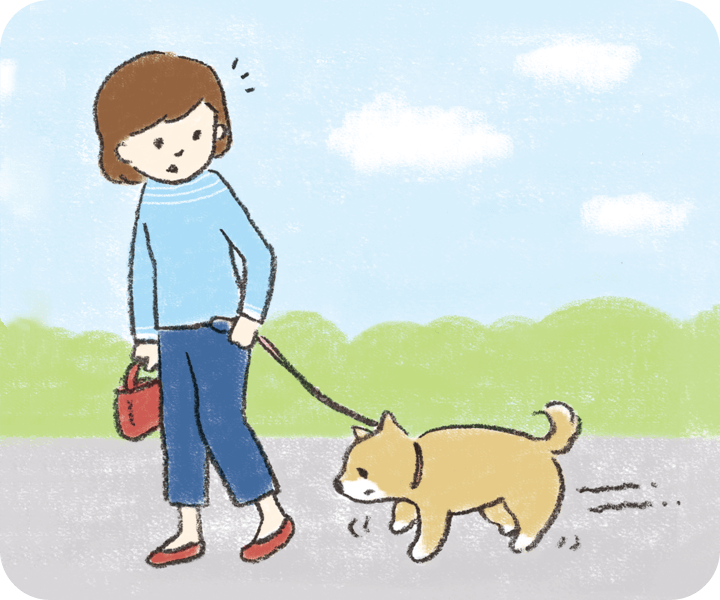 犬がよろよろ歩く