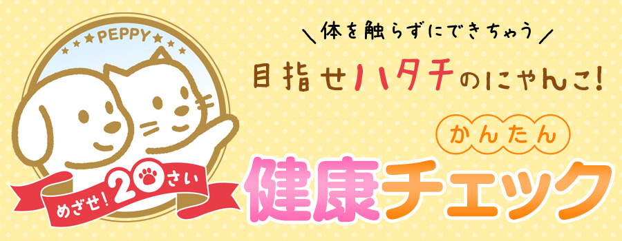 目指せハタチのにゃんこ!簡単健康チェック