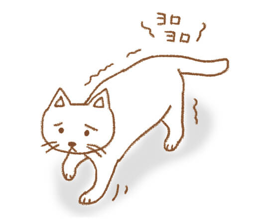 ヨロヨロ歩くようになった
