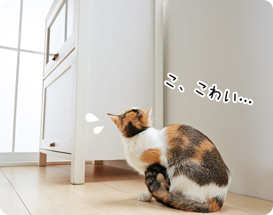 高いところに上がれなくなった