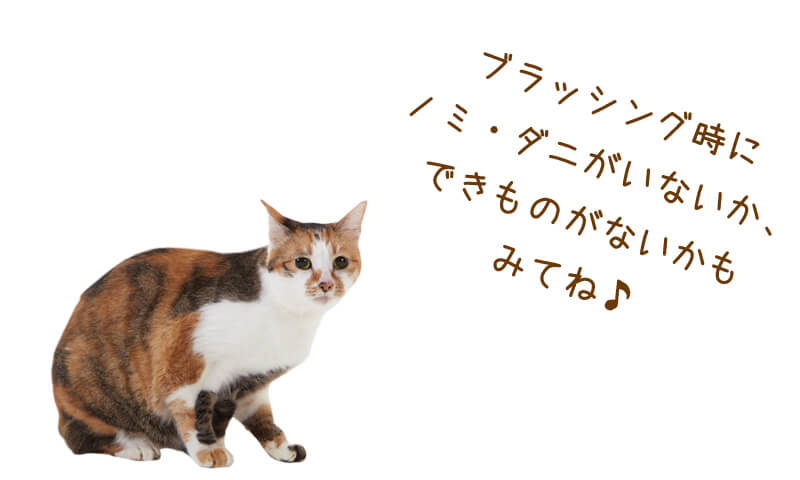 ブラッシング時にも健康チェック