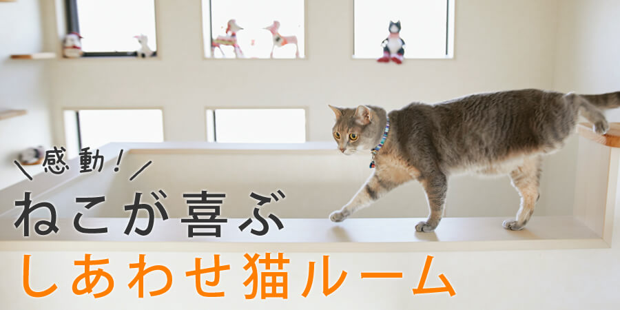 ねこが喜ぶしあわせ猫ルーム ペット用品の通販サイト ペピイ Peppy