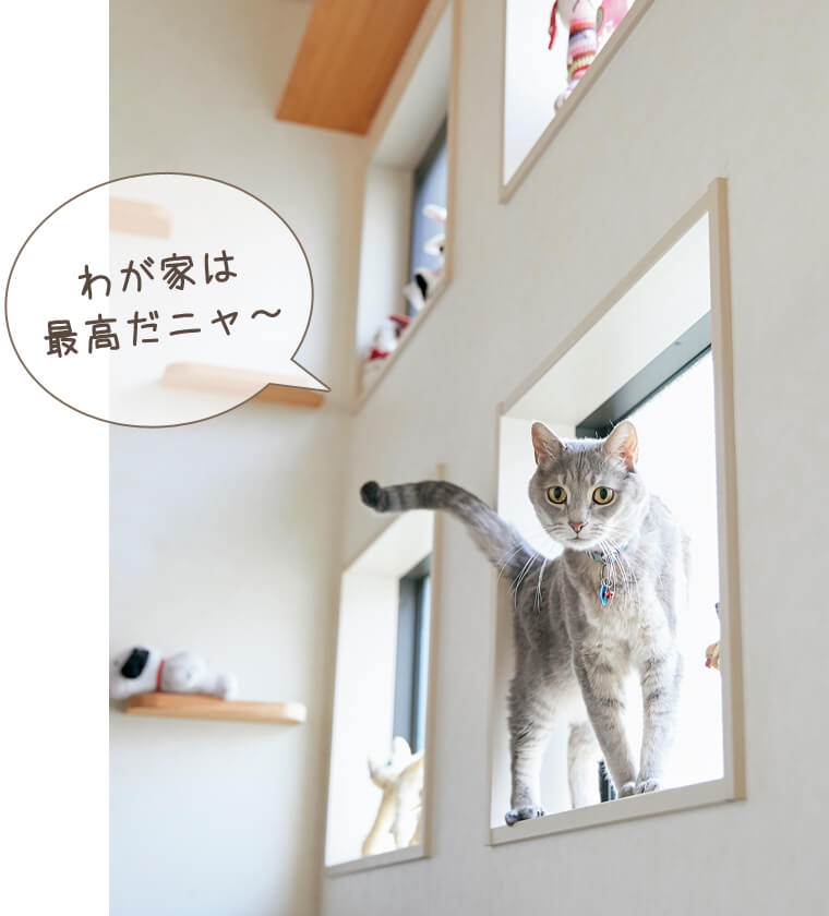 猫特有の習性