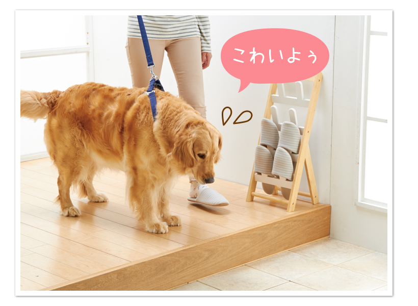 気づいてあげたい老化のサインをチェック!