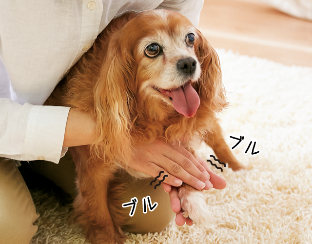 バイブレーション