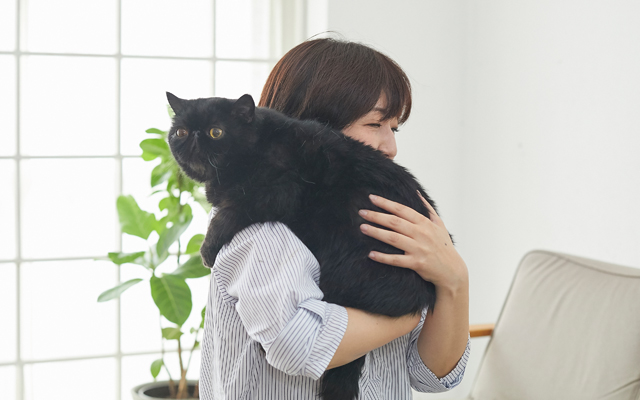 猫が安心できる愛情抱っこ ペット用品の通販サイト ペピイ Peppy