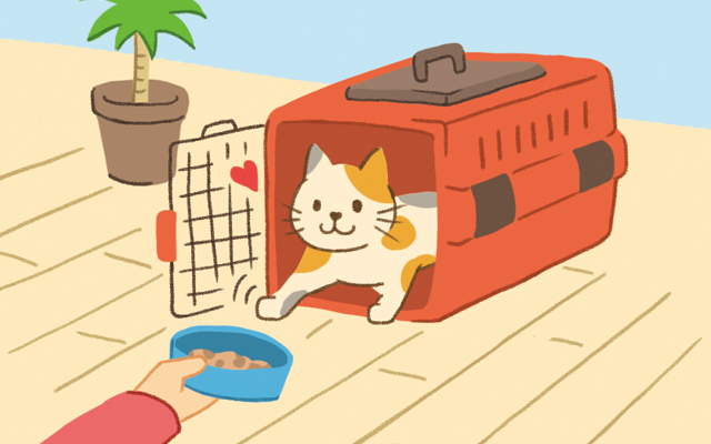 猫をキャリーに入れて大好きなごほうびをあげる