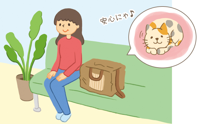 待合室で猫のためにできること