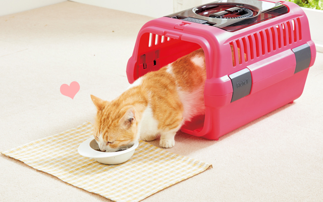 キャットファーストな通院術まとめ