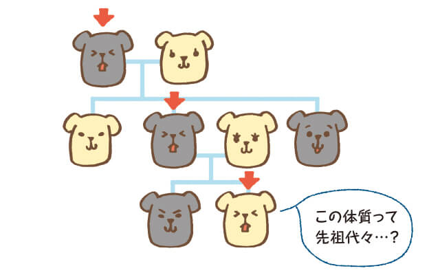 「遺伝性疾患」のリスク診断