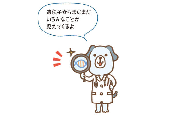 こんな研究も進行中!
