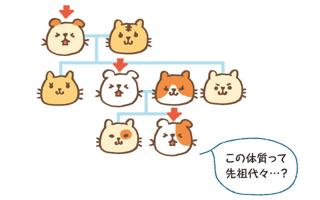 「遺伝性疾患」のリスク診断
