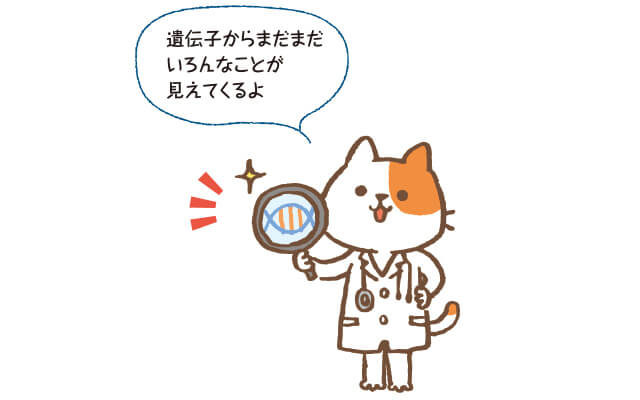 こんな研究も進行中!