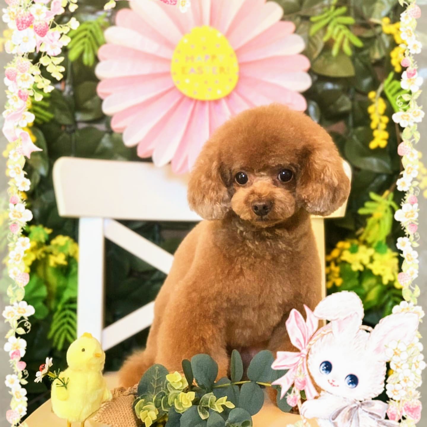 口コミ レビュー ｗｉｔｈ ｙｏｕ ウィズユー コトコト煮込んだヤギミルクスープ 犬用ウェットフード 缶詰 レトルトパウチ ペット用品の通販サイト ペピイ Peppy