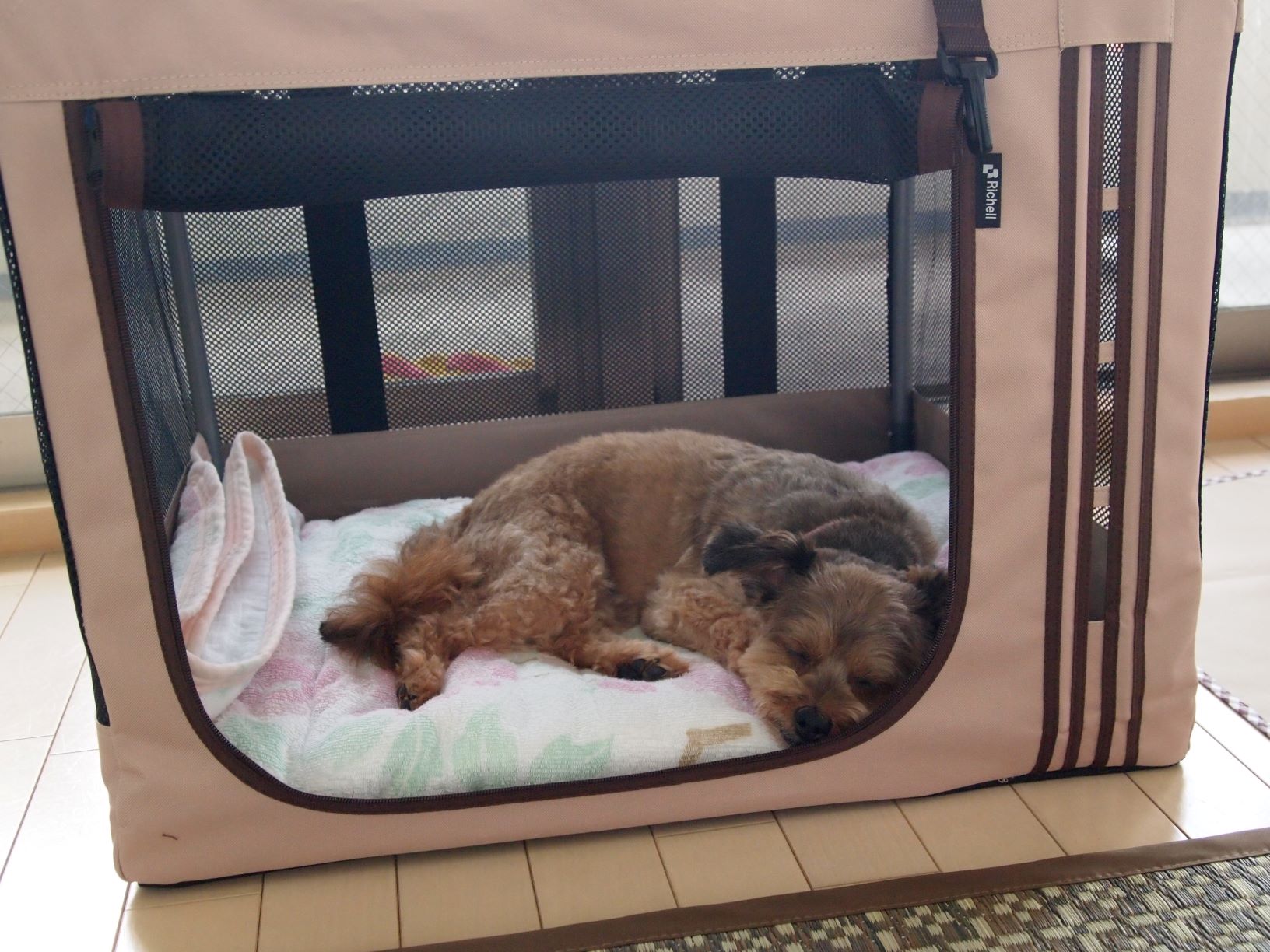 口コミ レビュー たためる３ｗａｙペットケージ 犬猫用ペットキャリーバッグ ボックス トート ペット用品の通販サイト ペピイ Peppy