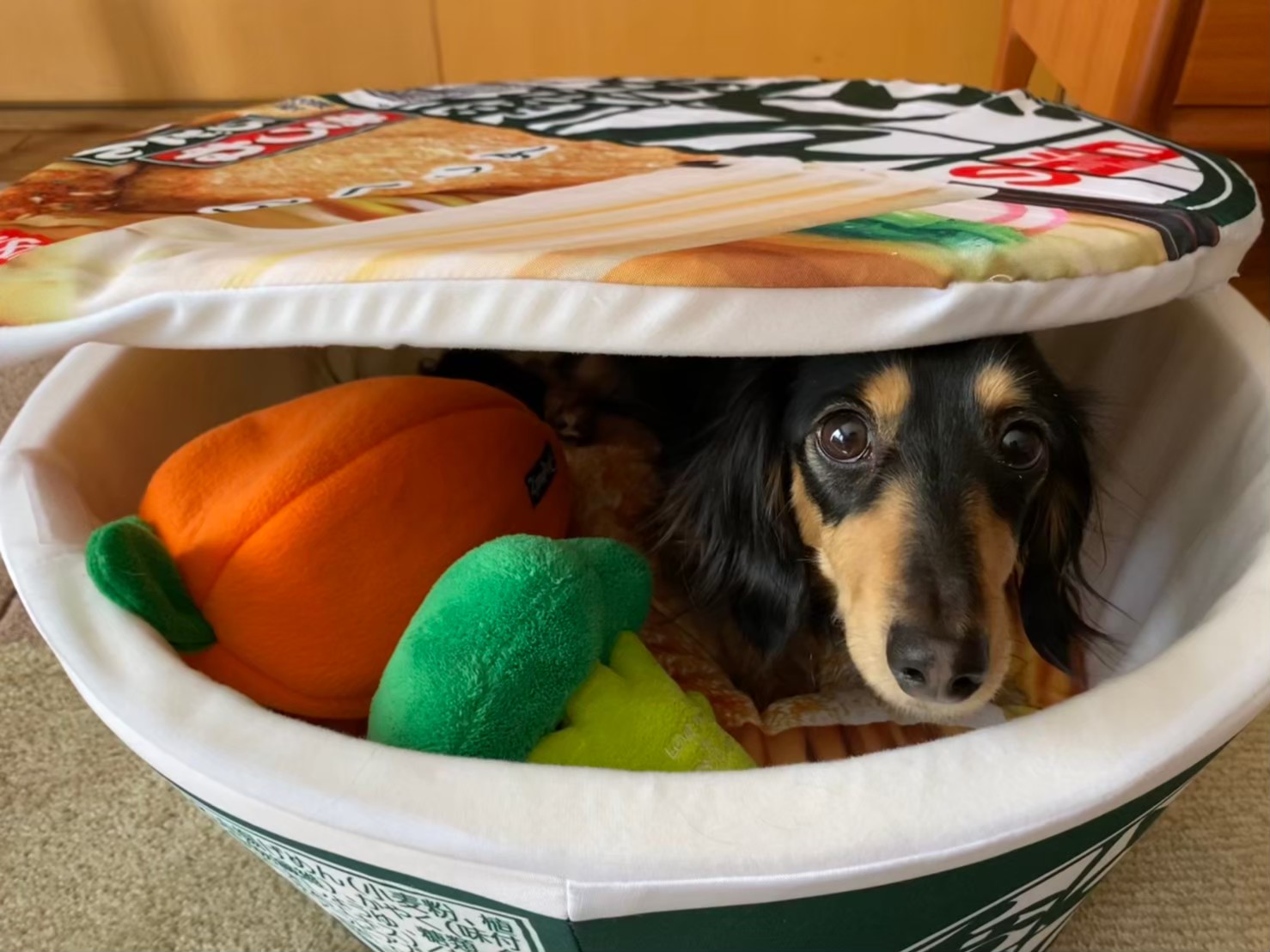 口コミ レビュー グリニーズプラス 穀物フリー 正規品 犬用おやつ 犬用おやつ ペット用品の通販サイト ペピイ Peppy