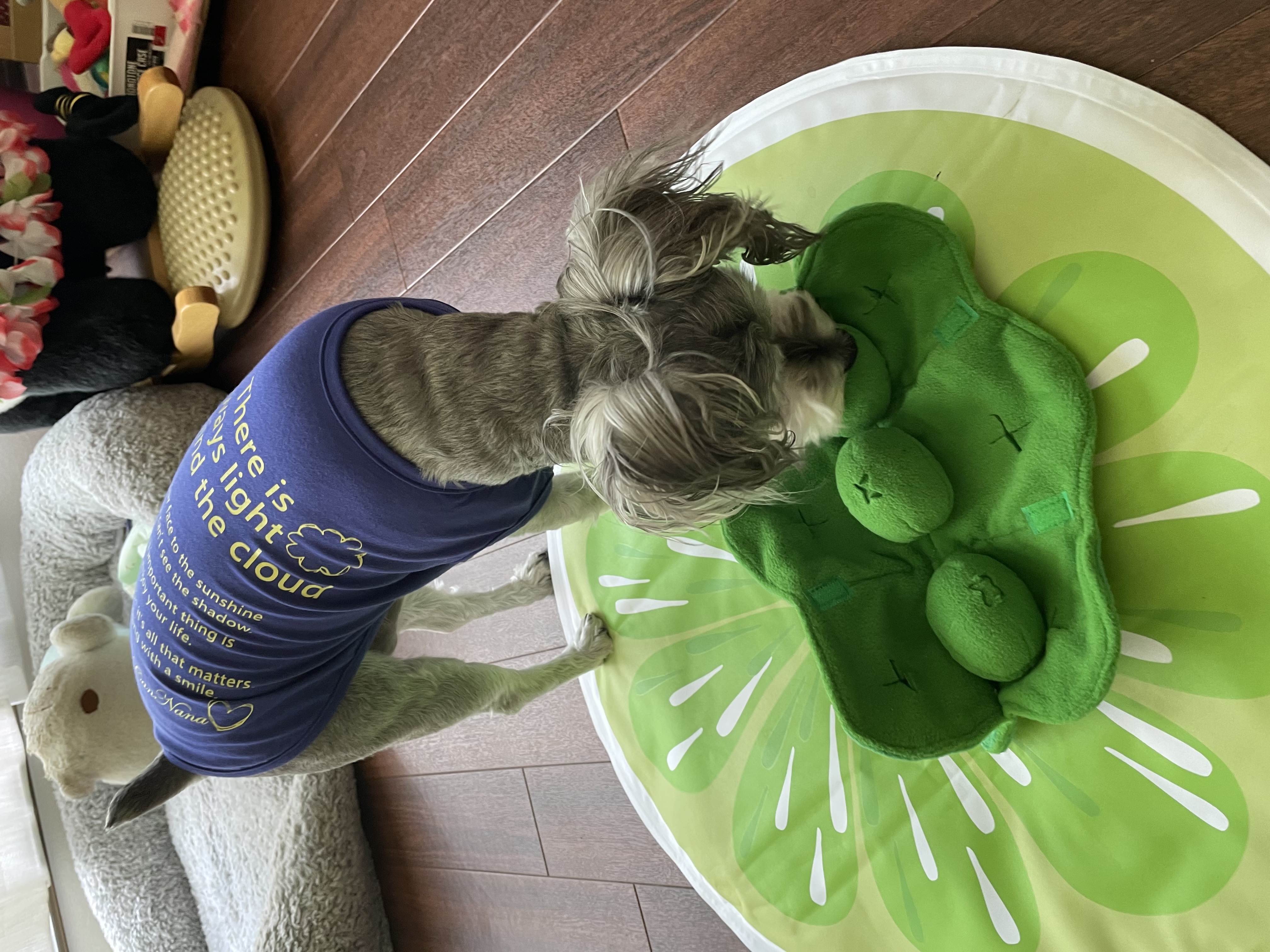 口コミ レビュー えんどう豆のスナッフルトイ 犬用おもちゃ ペット用品の通販サイト ペピイ Peppy 口コミ レビュー えんどう豆のスナッフルトイ 犬用おもちゃ ペット用品の通販サイト ペピイ Peppy