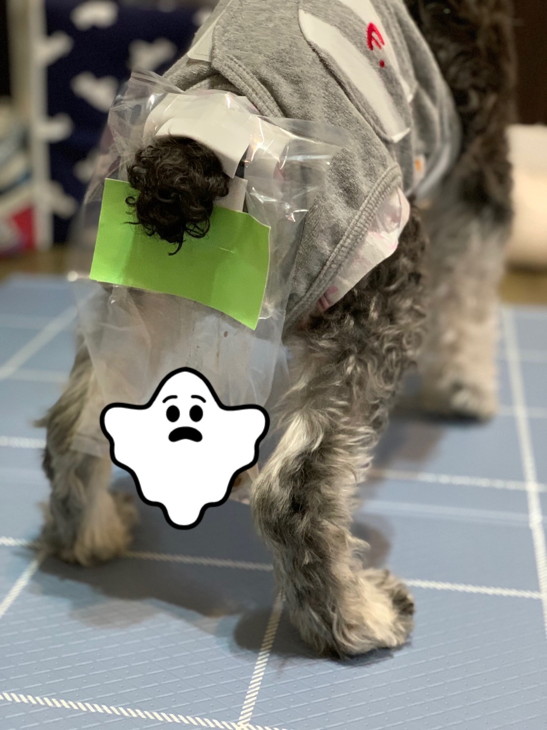 口コミ レビュー うんぽパンツ 排せつケア ペット用品の通販サイト ペピイ Peppy