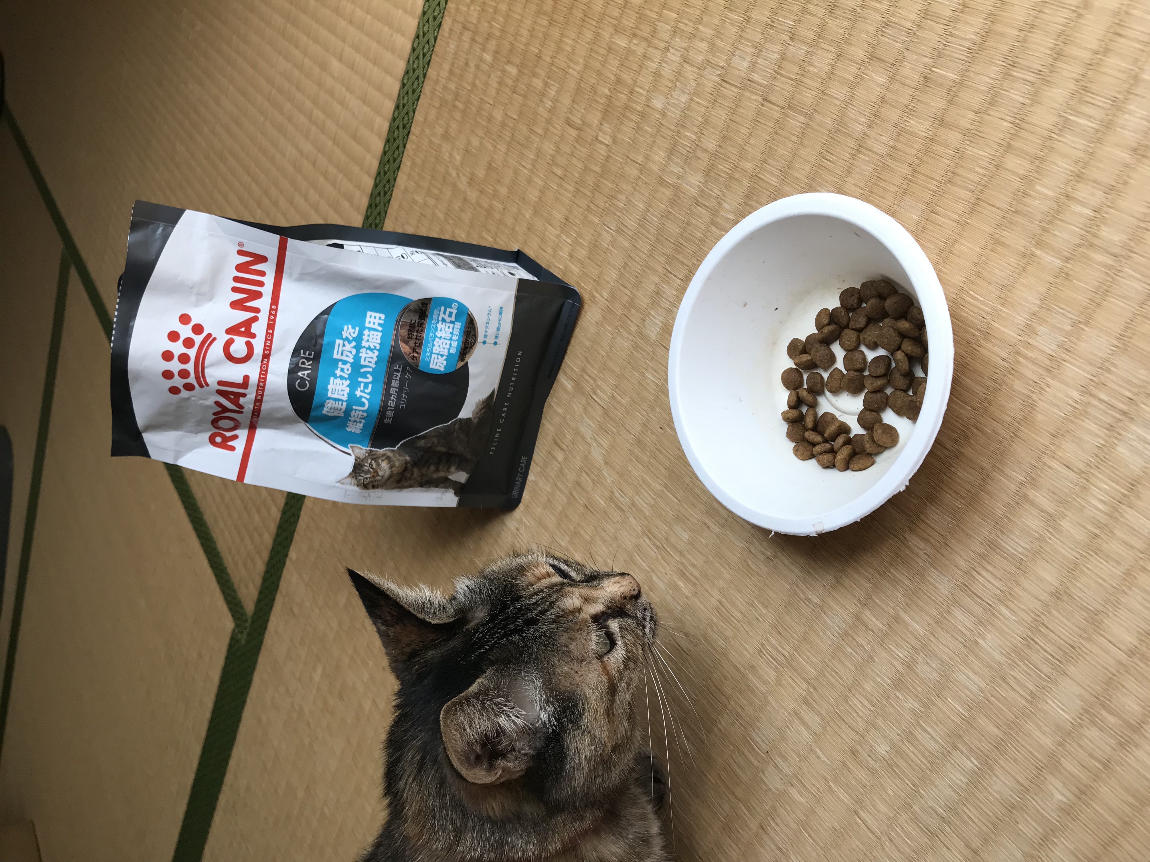 口コミ レビュー 健康な尿を維持したい猫に ロイヤルカナン ユリナリーケア キャットフード 猫用ドライフード プレミアムフード ペット用品の通販サイト ペピイ Peppy