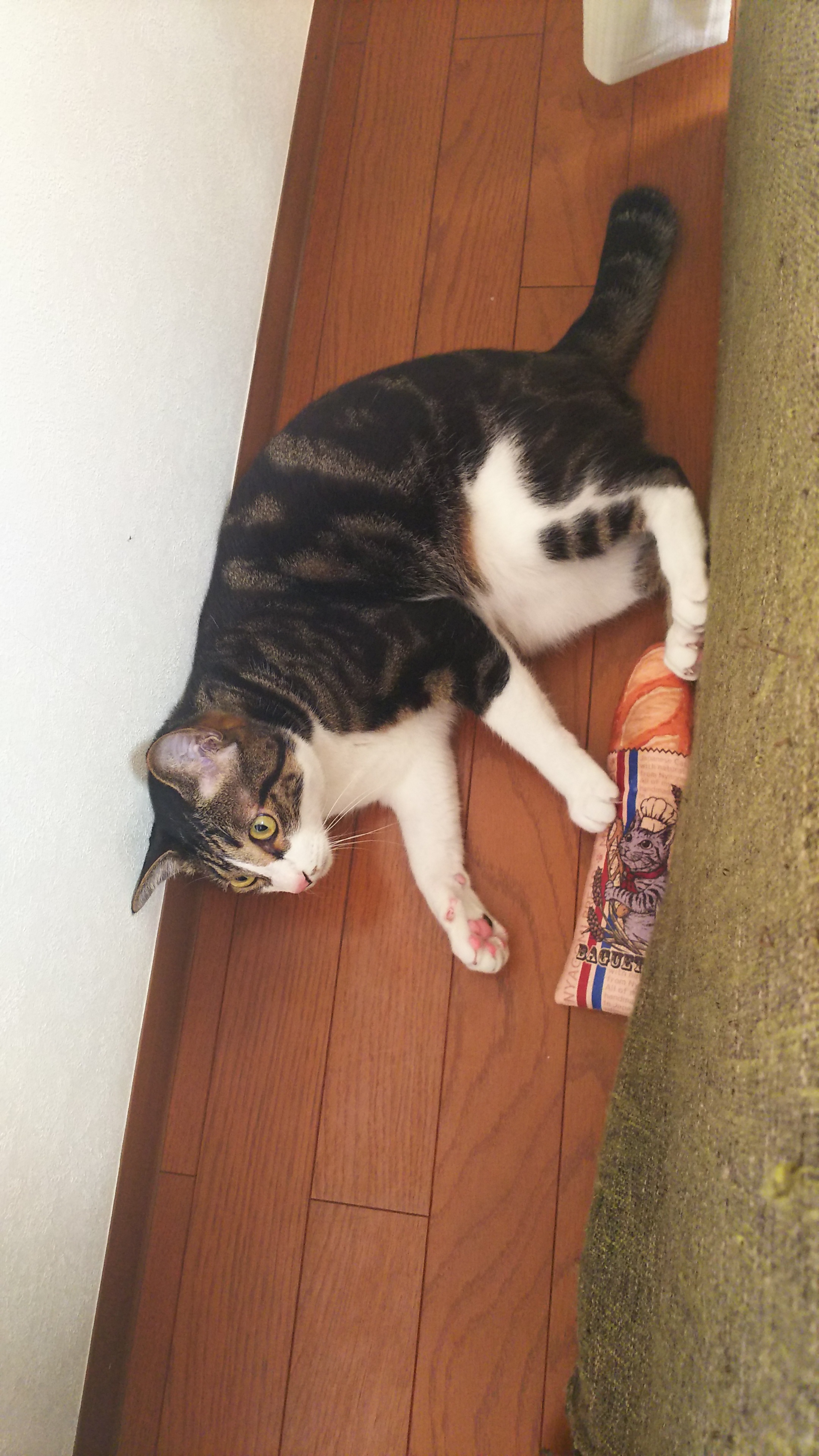 口コミ レビュー にゃごみ処 またたび入り猫キッカー 猫用おもちゃ ペット用品の通販サイト ペピイ Peppy