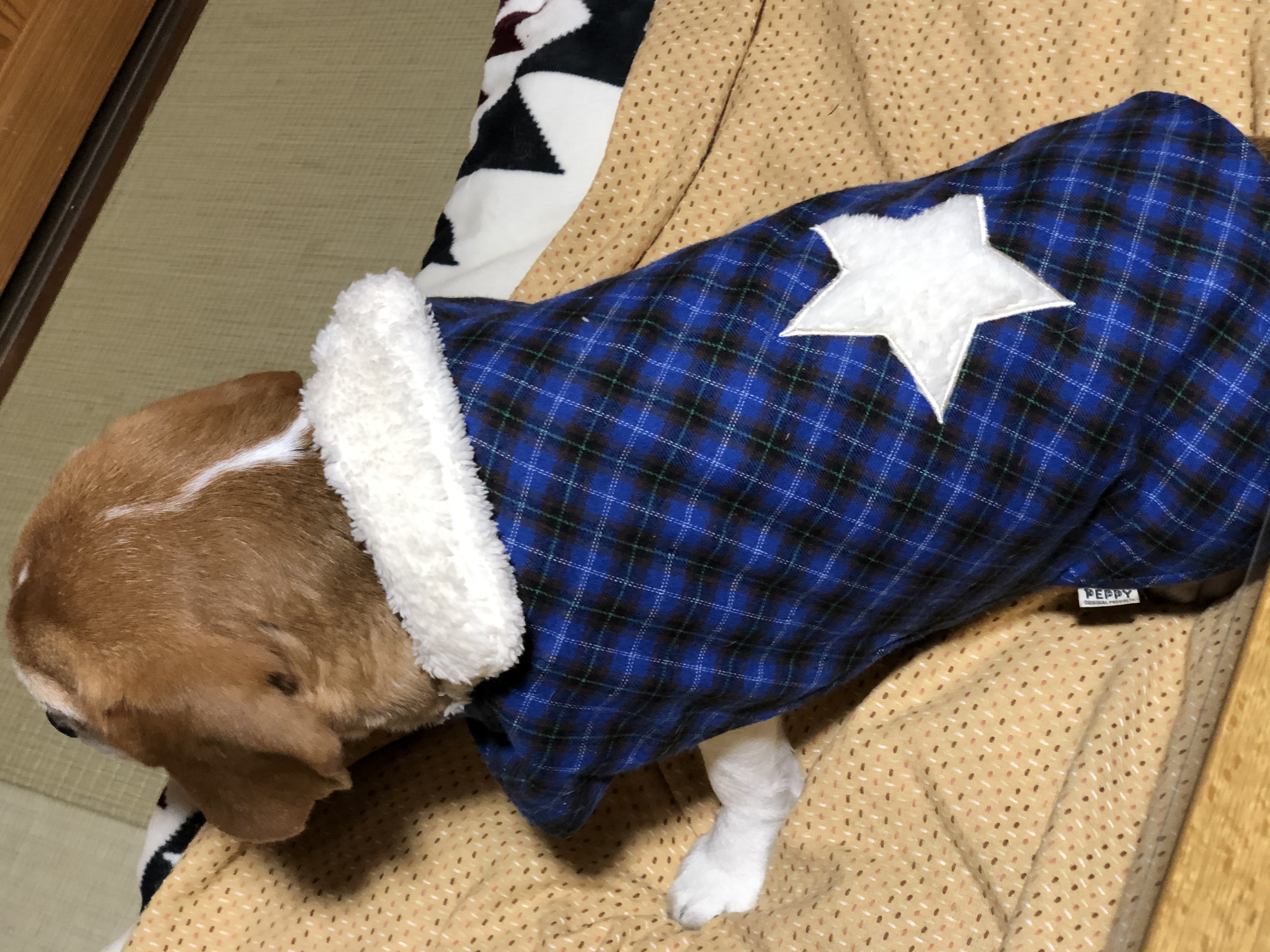 口コミ レビュー ササッとらくちん秋冬ウェア ボアマント ウェア 犬服 ペット用品の通販サイト ペピイ Peppy