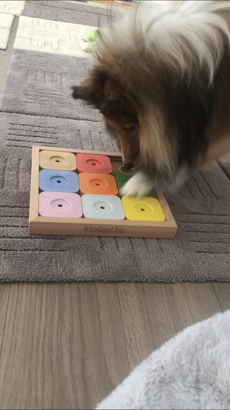 口コミ レビュー Dog Sudoku スライドパズル カラフル 犬用おもちゃ ペット用品の通販サイト ペピイ Peppy