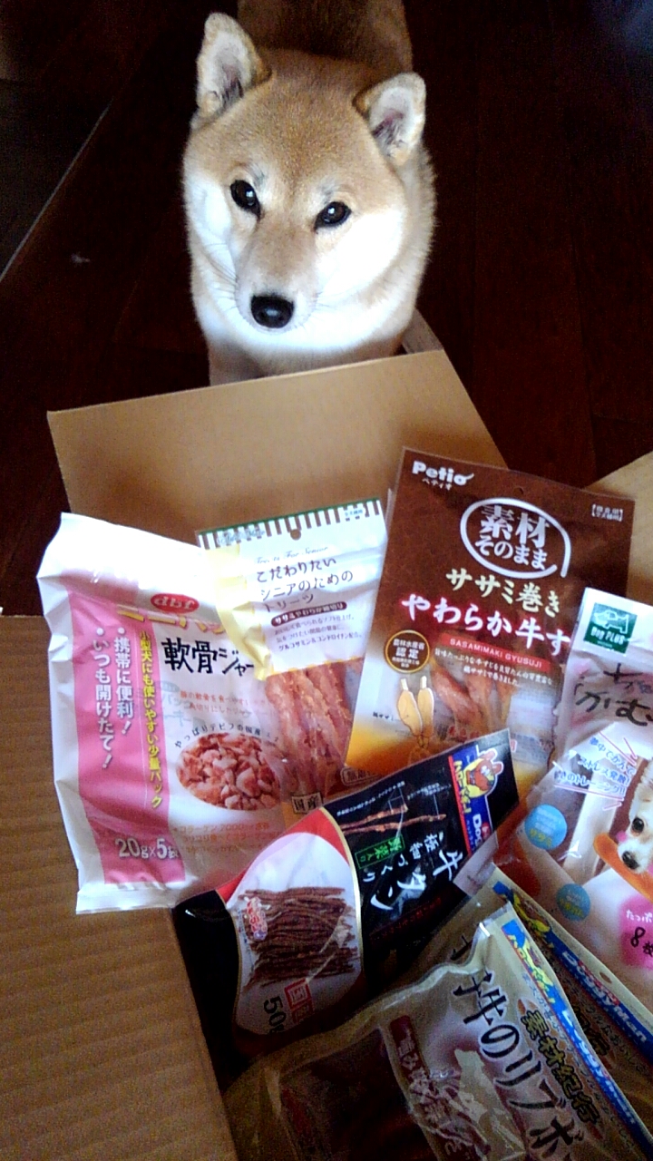 ちゃんと食べてますか 好物送ります 母より ペット用品の通販サイト ペピイ Peppy